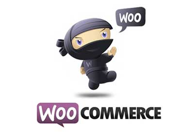 افزونه پرداخت آنلاین WooCommerce ووکامرس برای زرین‌پال